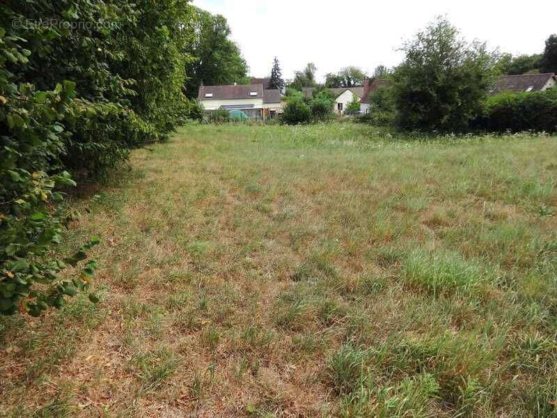 Terrain 4019 m² à Auneuil  - photo 2