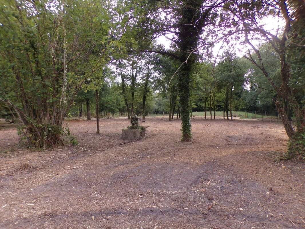 Vente Terrain Theillay(41300) 90 000ï¿œ - photo 5