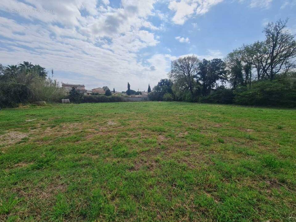 Terrain à PUGET-SUR-ARGENS