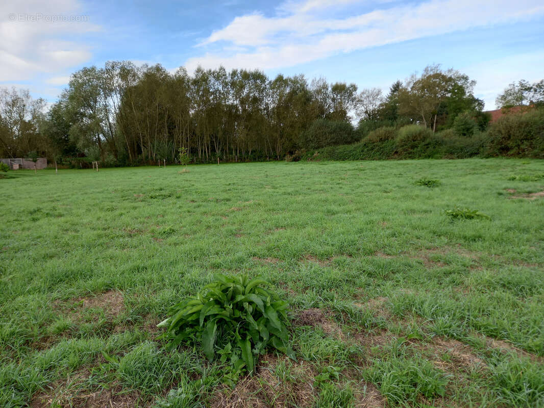 Terrain à POUILLY-EN-AUXOIS