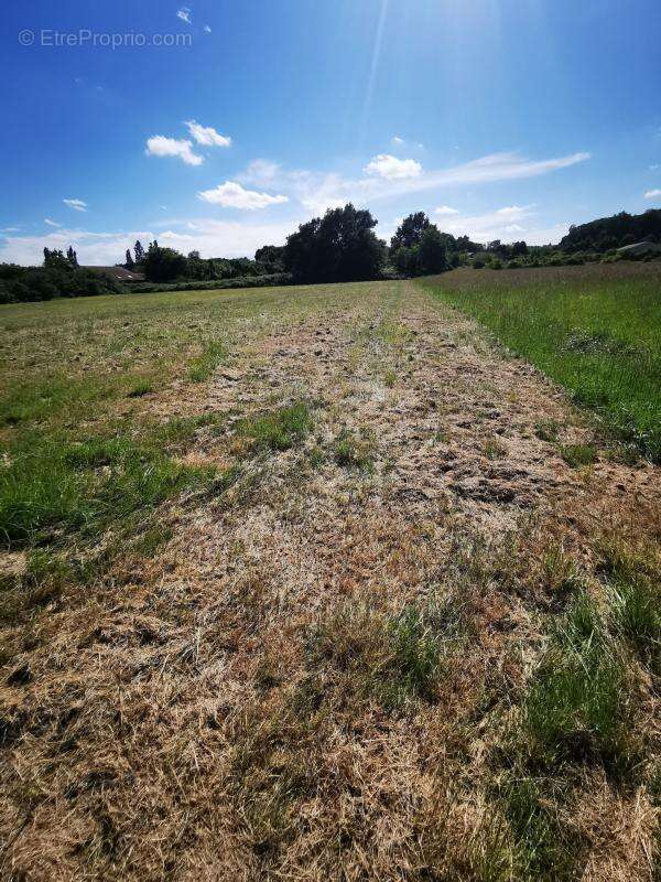 Terrain à bâtir de 3 744m2, non viabilisé, à Ladevèze-Rivièr - photo 2