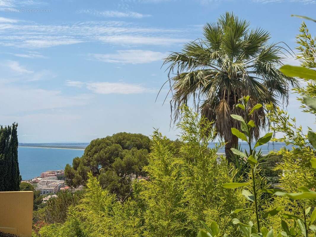 Maison - Saint-Clair SUD - photo 10