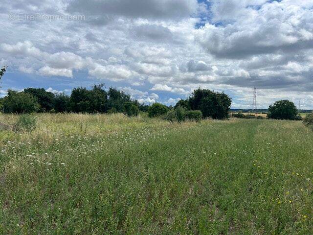 Terrain à SEICHES-SUR-LE-LOIR