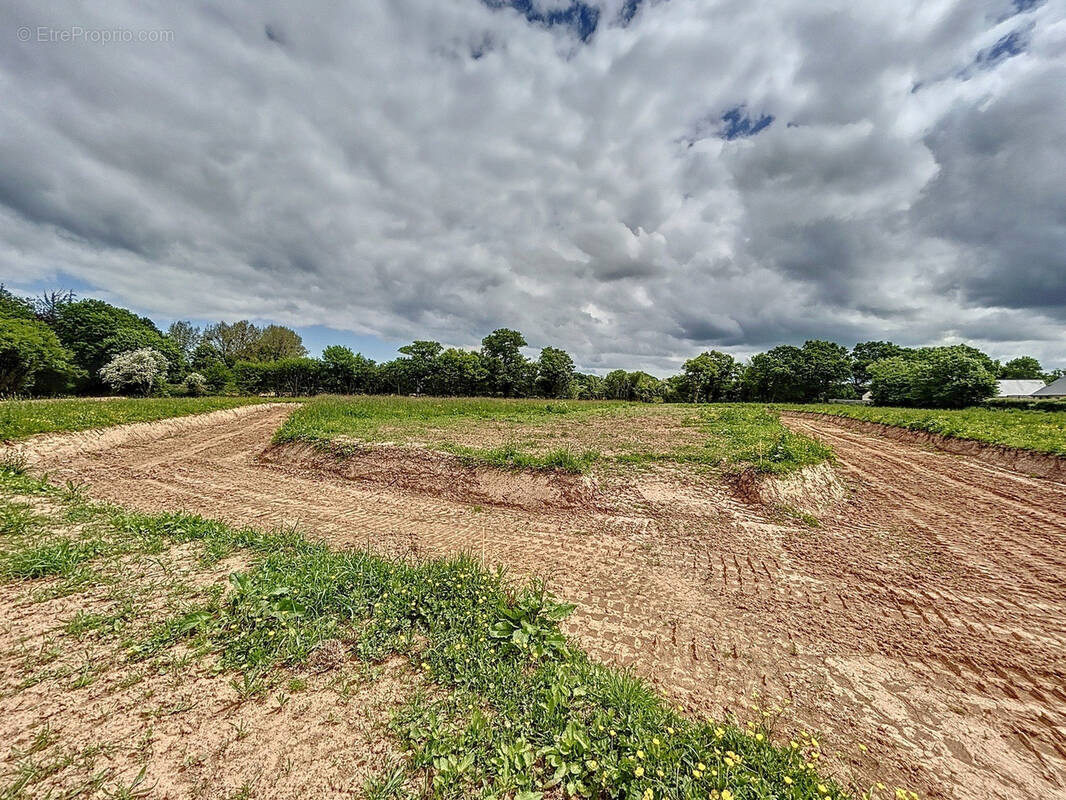 Terrain à NEGREVILLE