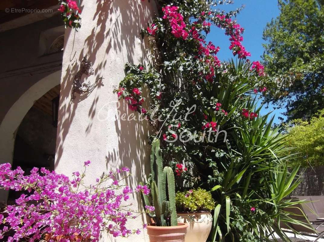 Sublime propriete, maison de maitre + gites, domaine de 11 hectares, narbonne - photo 17