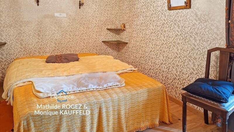 Grande demeure de charme + gîte + grand terrain - Tours-sur-Meymont - photo 13