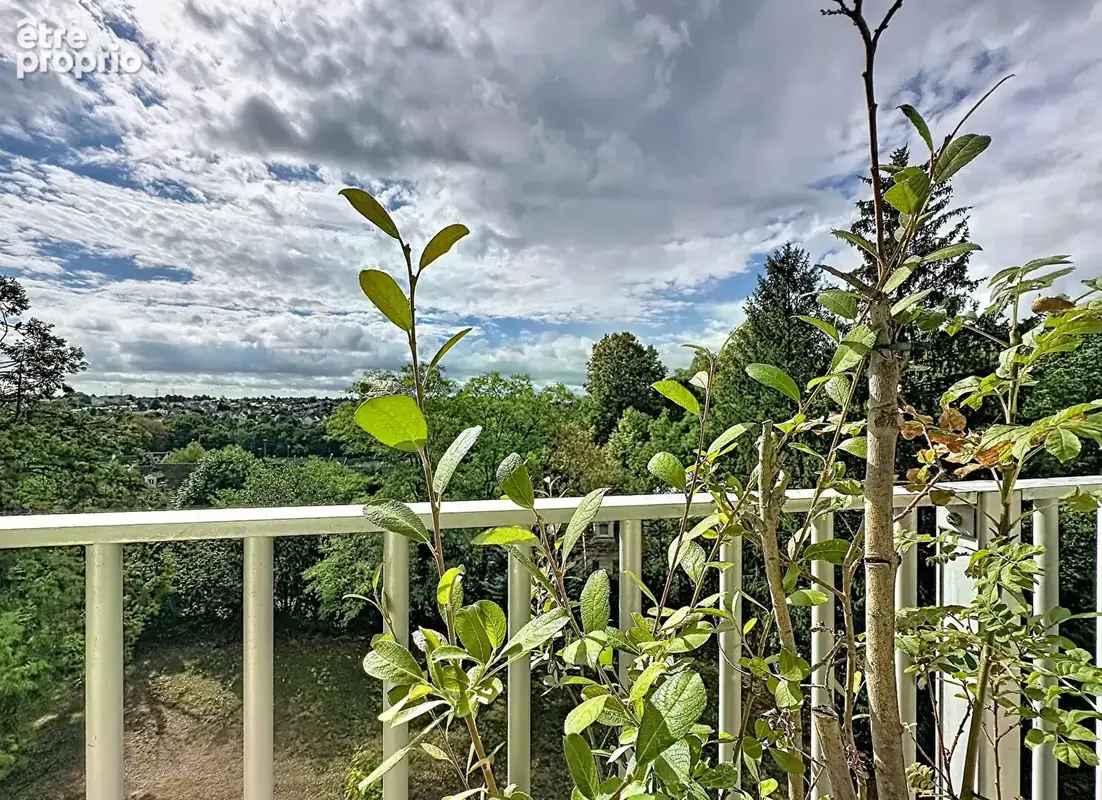 Appartement Yerres 4 pièce(s) 74 m2 verdure et calme - photo 12