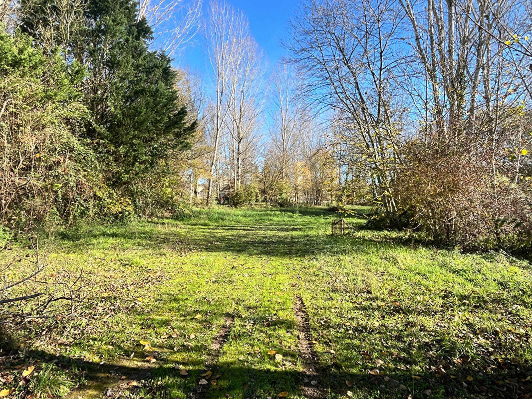 Terrain à VILLEREAL