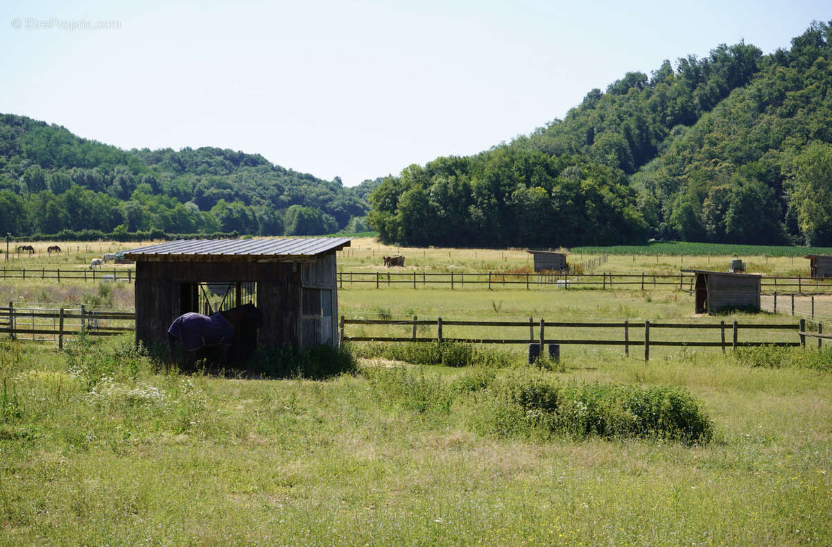 Haras du mas de meyrie - photo 19