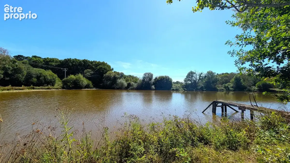 Propriété avec étang 9000m2 - photo 5