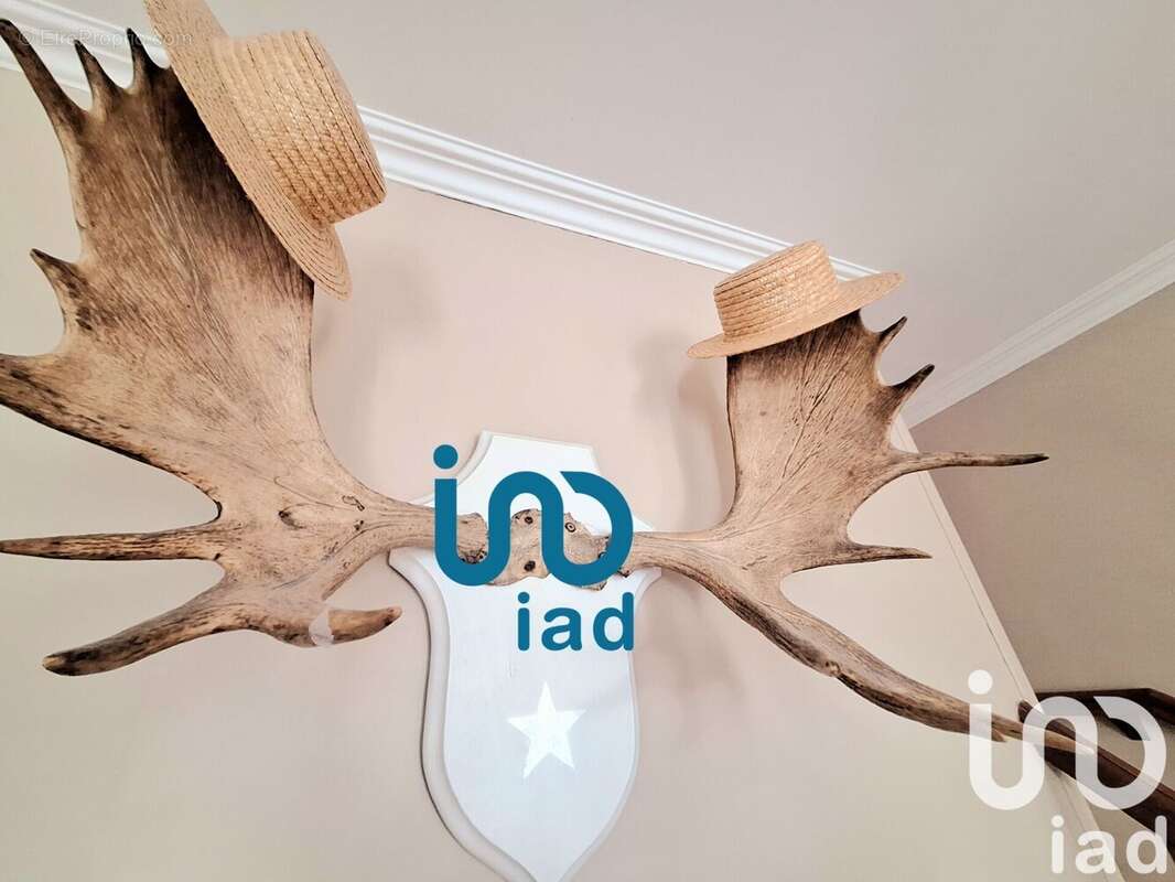 Photo 7 - Maison à BACQUEVILLE-EN-CAUX