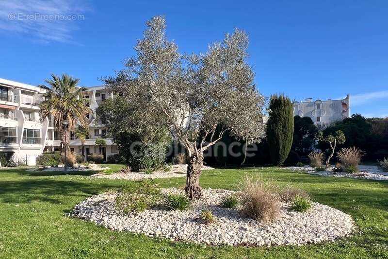Appartement T2 35,20 m² avec parking inclus - photo 11