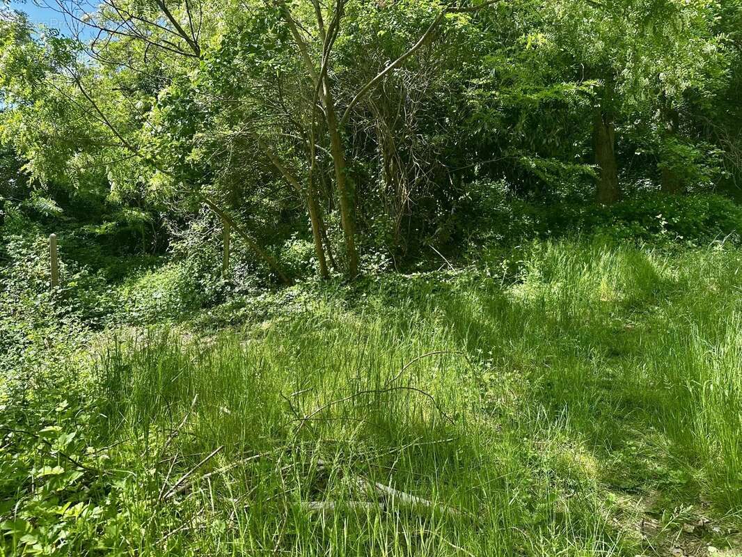 Terrain à VAUHALLAN