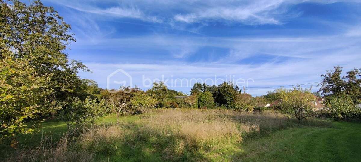 Terrain à PARIGNY-LES-VAUX