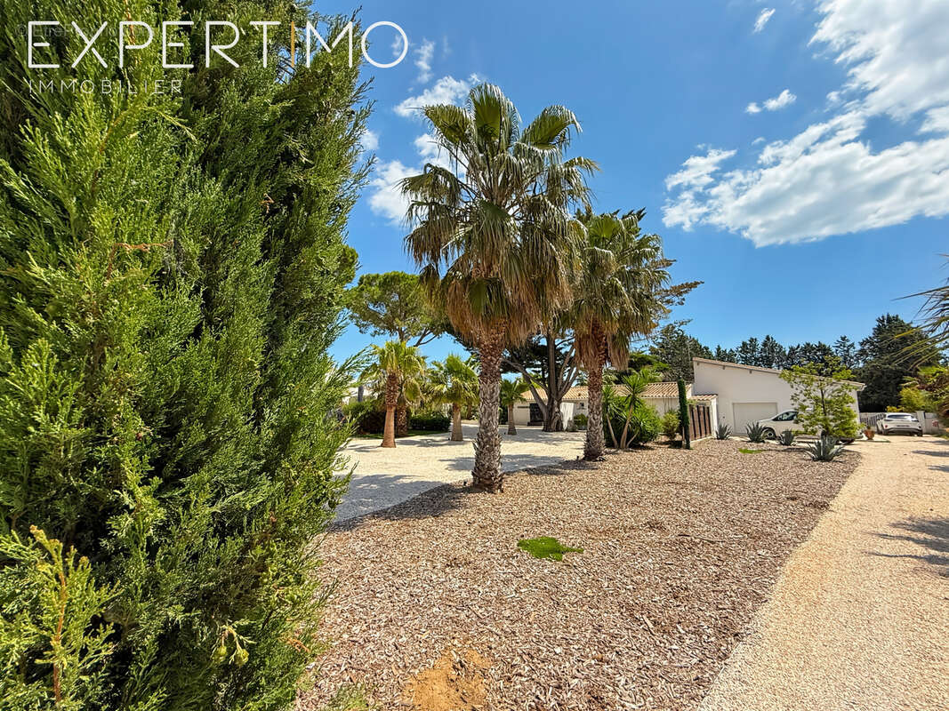 Propriété de 457 m2 + Piscine avec Pool House + 4 garages sur 5500 m2. - photo 2