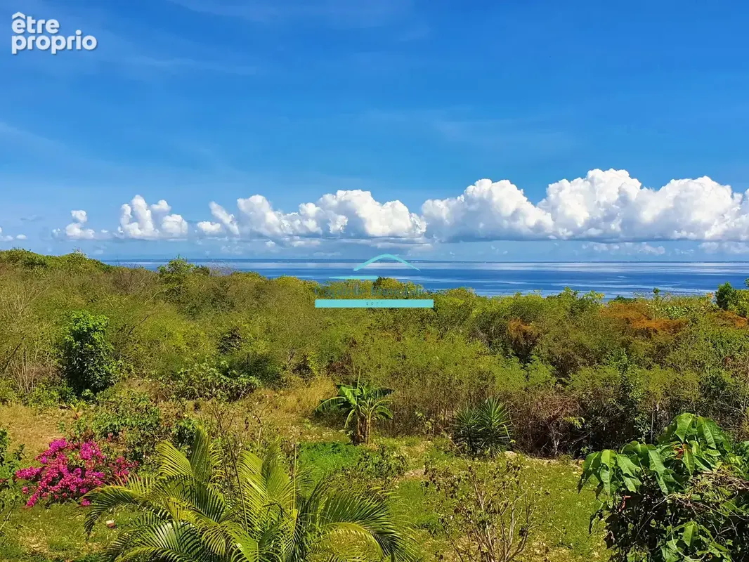 MARIE-GALANTE   Ensemble immobilier vue mer 180o : villa + 3 bungalows + terrain constructible - photo 3