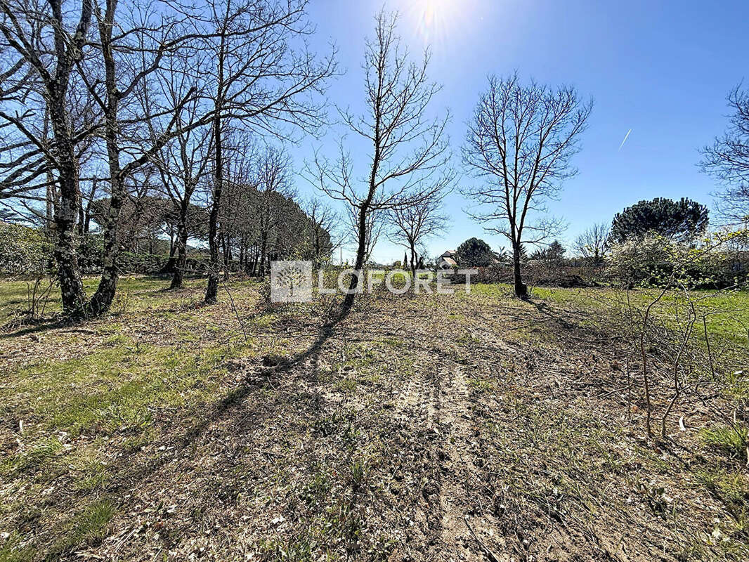 Terrain à VILLEMATIER