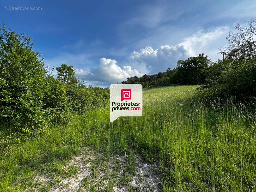 Beau terrain constructible et arboré de 3350 m² situé proche du bourg de SAINT-PAUL-DE-SERRE (24380) - photo 3