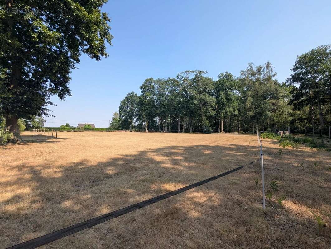 Maison de 218 m² sur une superbe parcelle de 15 948 m² - photo 5