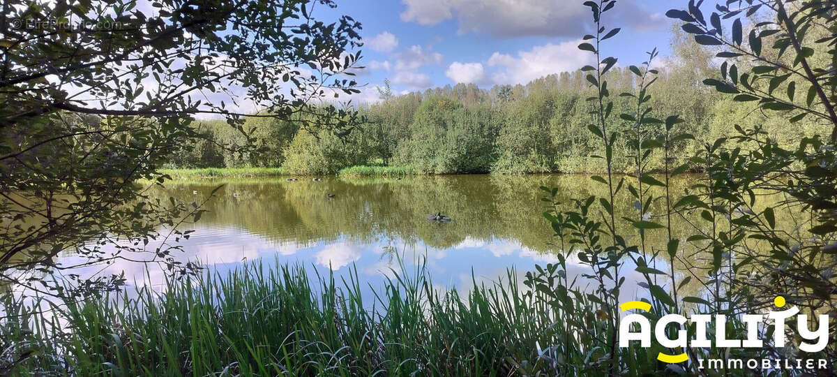 Terrain à MILLONFOSSE