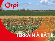 Terrain à TEMPLEUVE