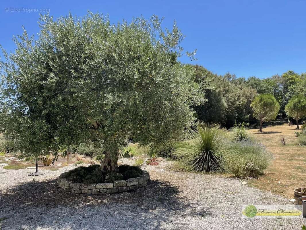Appartement à ANVILLE