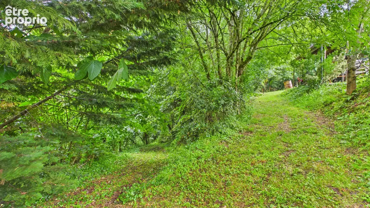 Terrain constructible de 2 244 m² avec forêt de 2 hectares - photo 10