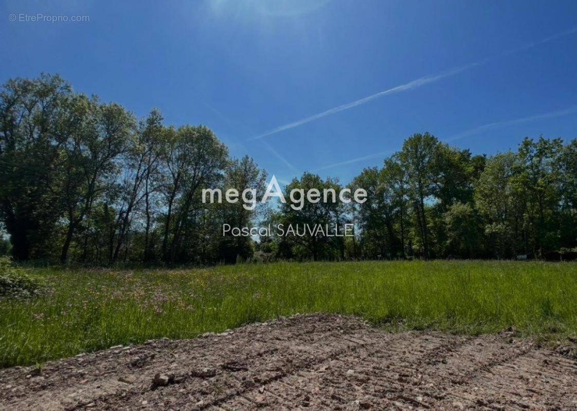 Terrain à SAINT-ASTIER