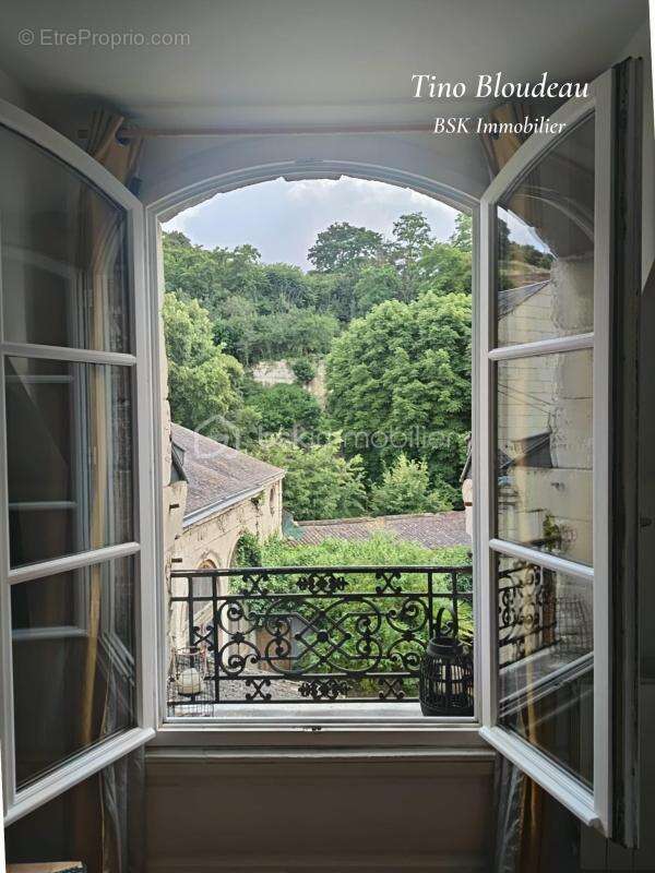  Studio avec vue sur le Château de Saumur  - photo 9