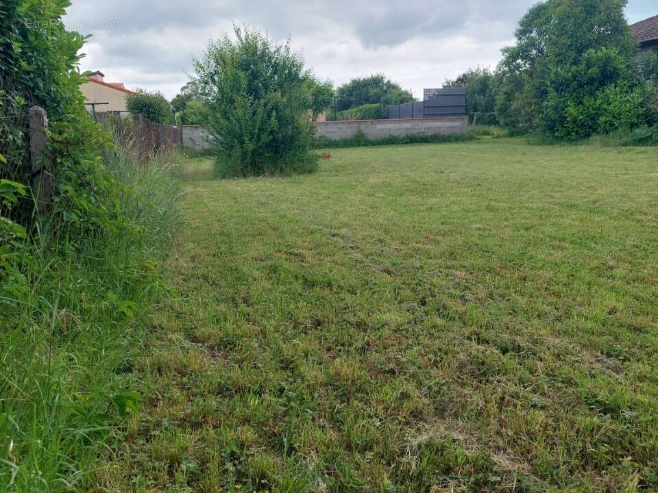 Terrain à AUCAMVILLE