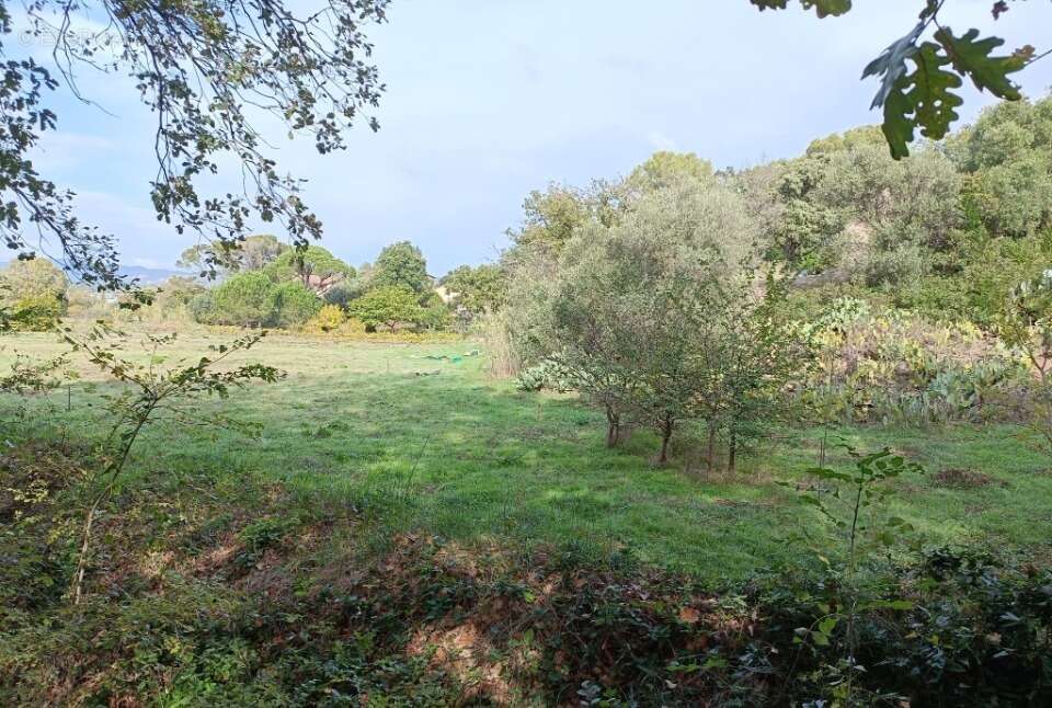 Terrain à FREJUS