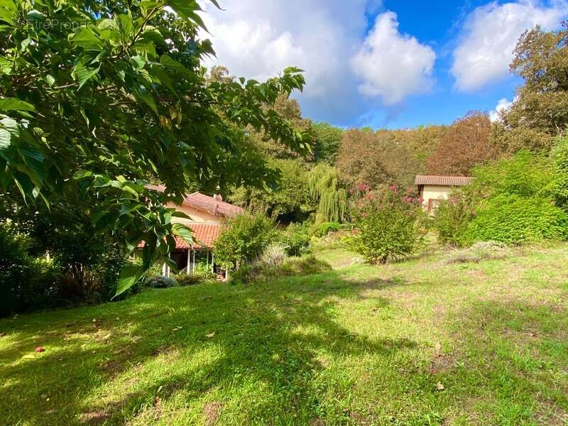 Magnifique Moulin rénové en totalité (DPE D) avec gîte indépendant sur terrain de 3,5HA arboré sans vis à vis BOUGUE (40) - photo 30