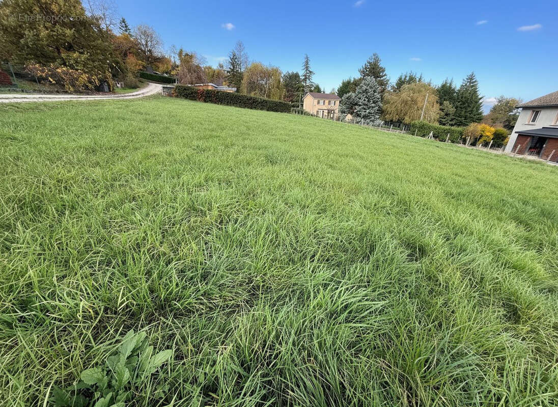 Terrain à POMMIER-DE-BEAUREPAIRE