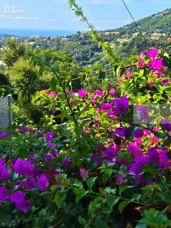 Menton , annonciade, appartement villa de 70 2 , 180 m2 de terrasse, 1000 m2 de terrain - photo 5