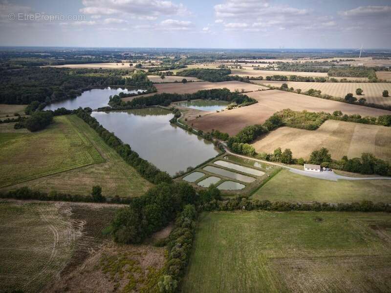 Opportunité d'affaires exceptionnelle : domaine de 24 hectares comprenant 15 hectares d'étangs, parfait pour divers projets tour - photo 12