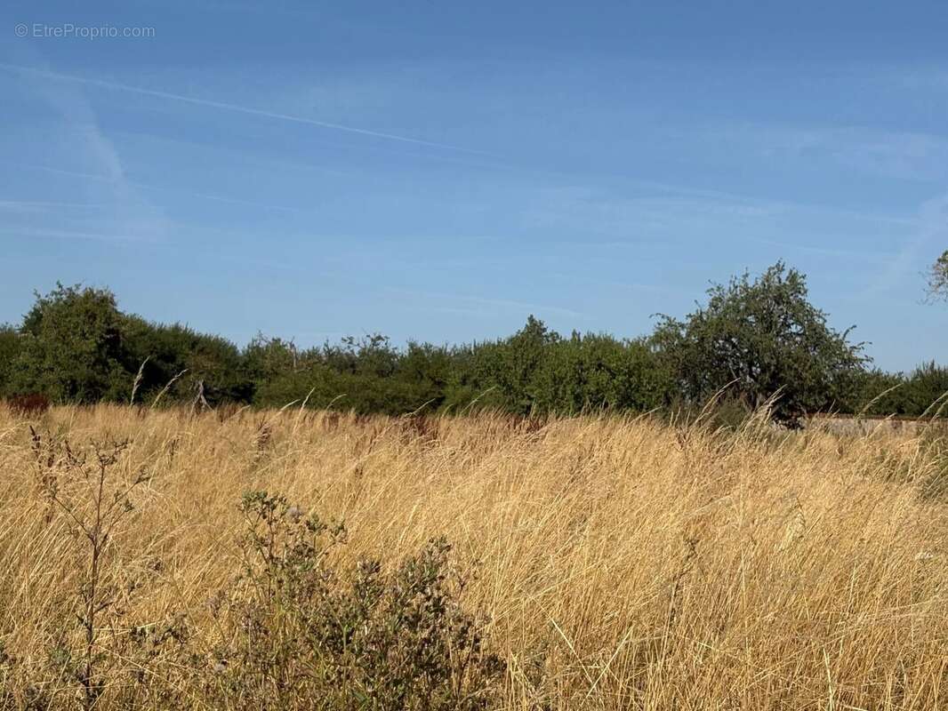 JALLAUCOURT – Terrains constructibles - photo 9