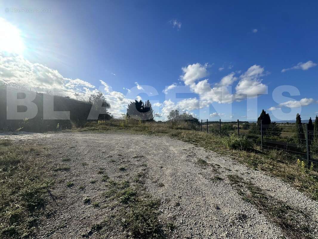 IMG_1365 - Terrain à CARCASSONNE