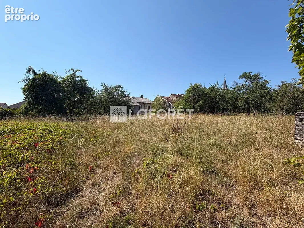 Maison VILLOTTE - 4 pièces - 123 m2 - photo 10