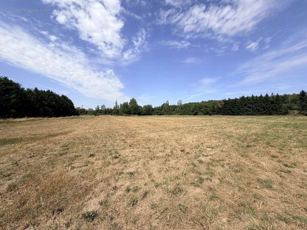 Terrain dans Bernay proche rocade - 2200m2 - non viabilisé - photo 2
