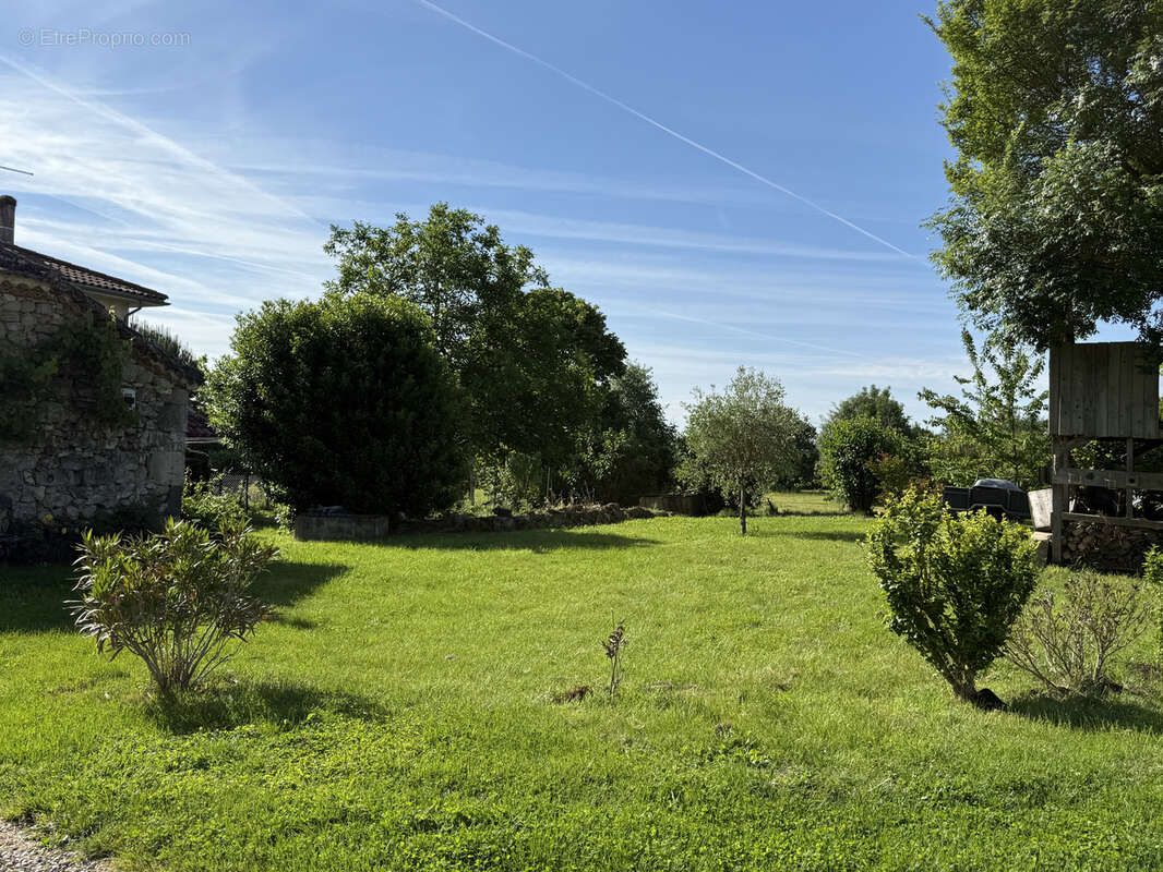 Secteur condom—maison de hameau avec dependances sur 1658m2 - photo 30