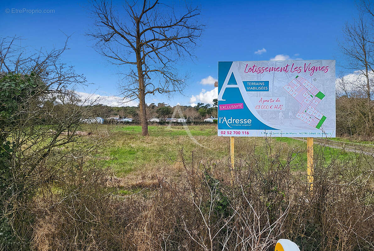 Maison à NOTRE-DAME-DE-MONTS