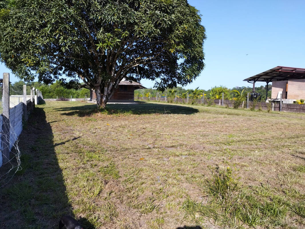 Terrain à KOUROU