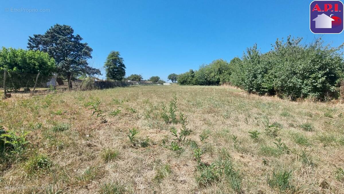 Terrain à CINTEGABELLE