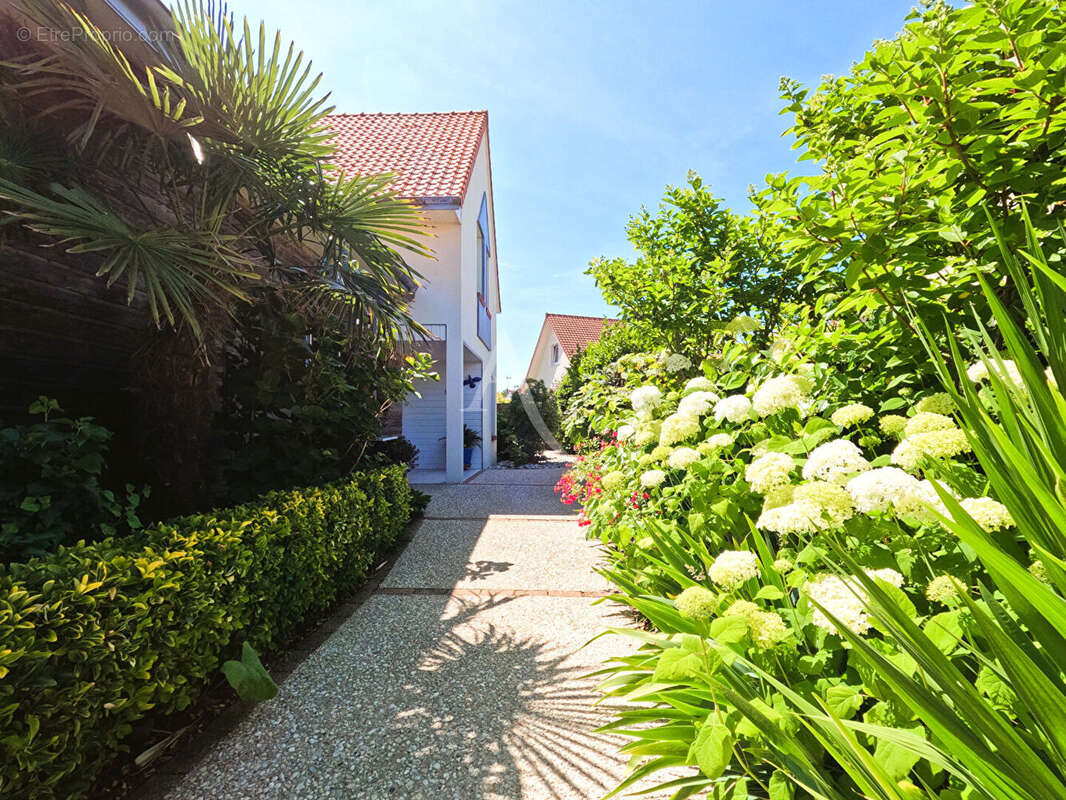 Maison à BERCK