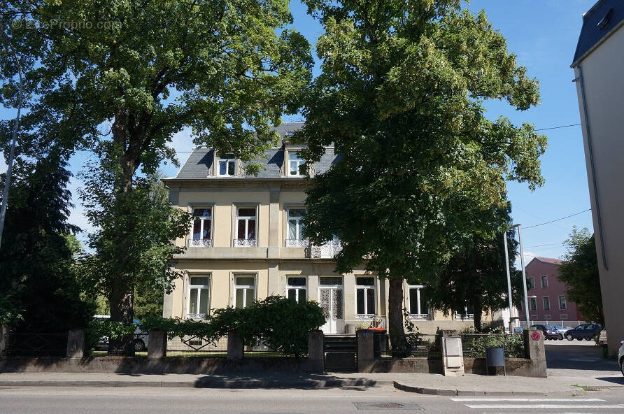 Commerce à SARREBOURG