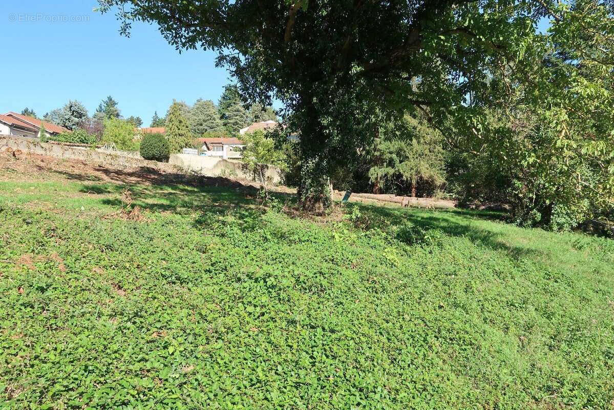 Terrain à SAINT-HEAND