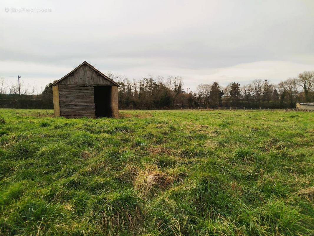 Terrain à NOYEN-SUR-SARTHE