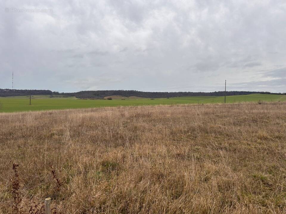Terrain à MESNIERES-EN-BRAY