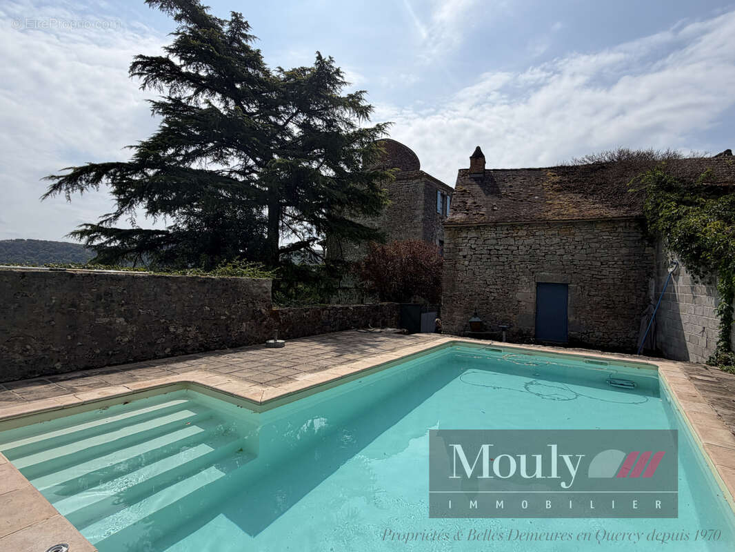 Chateau  avec vue exceptionnelle sur le lot - photo 47