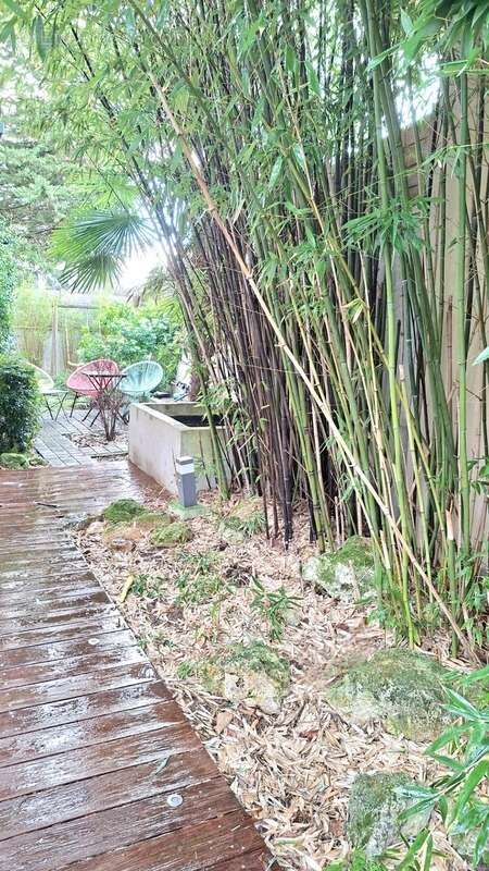 Maison à LE PLESSIS-ROBINSON